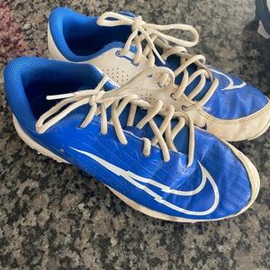 Nike Blue and White Sneakers